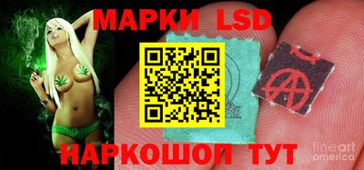 гашик Краснодар