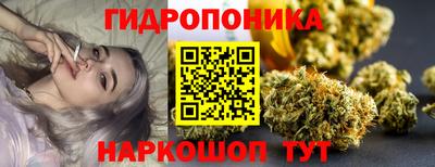 гашик Краснодар