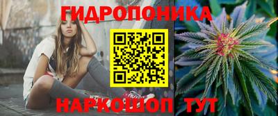 МДПВ Краснознаменск