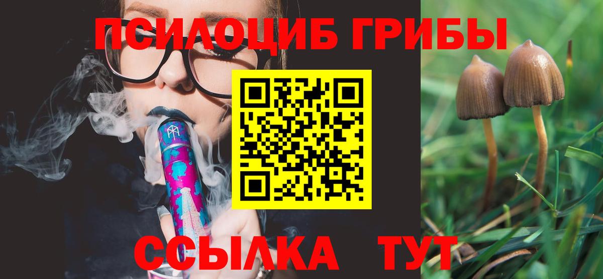 Псилоцибиновые грибы GOLDEN TEACHER  Вход с VPN  Галлюциногенные грибы GOLDEN TEACHER  Куйбышев 